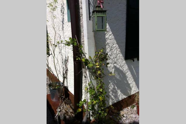 Haus Tulpe Apartment Strobl Bagian luar foto